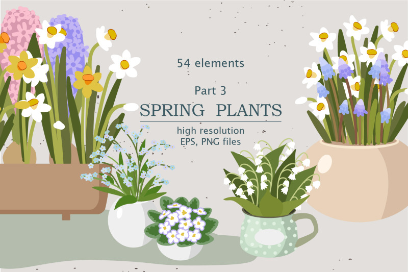 spring-indoor-plants-part-3