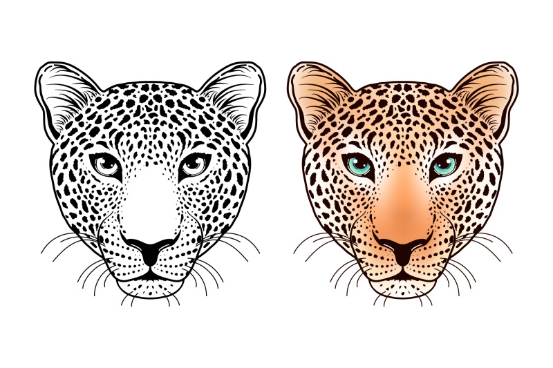 leopard-head