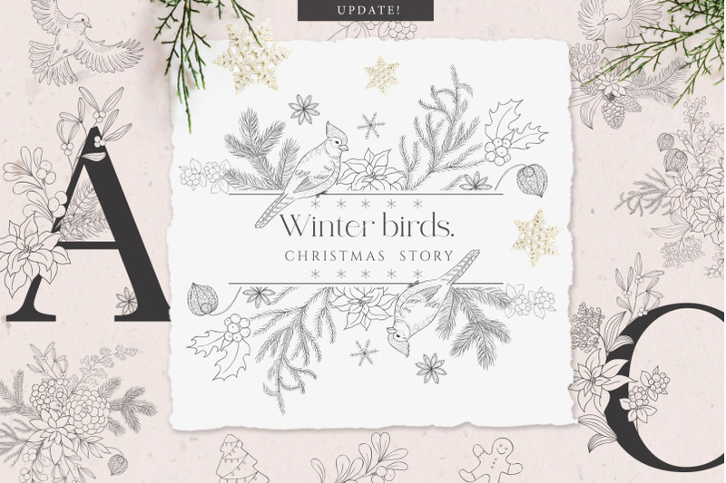 winter-birds-christmas-story