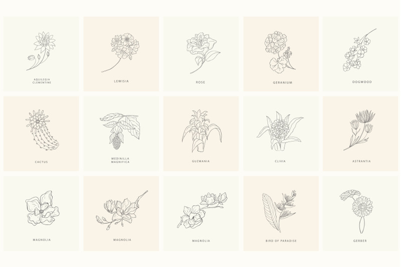 birth-flowers-trendy-plants-logos