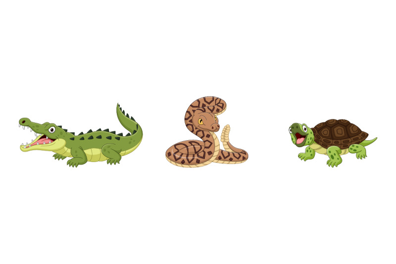 set-of-six-amphibian-and-reptile-animals