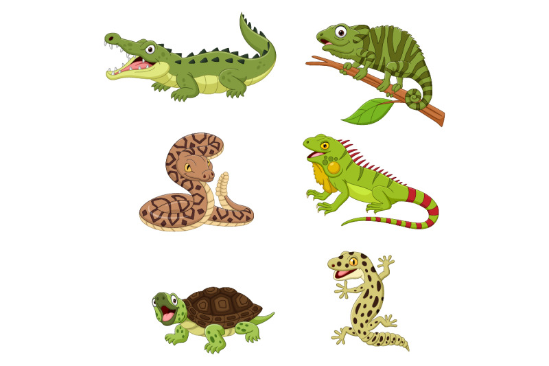 set-of-six-amphibian-and-reptile-animals