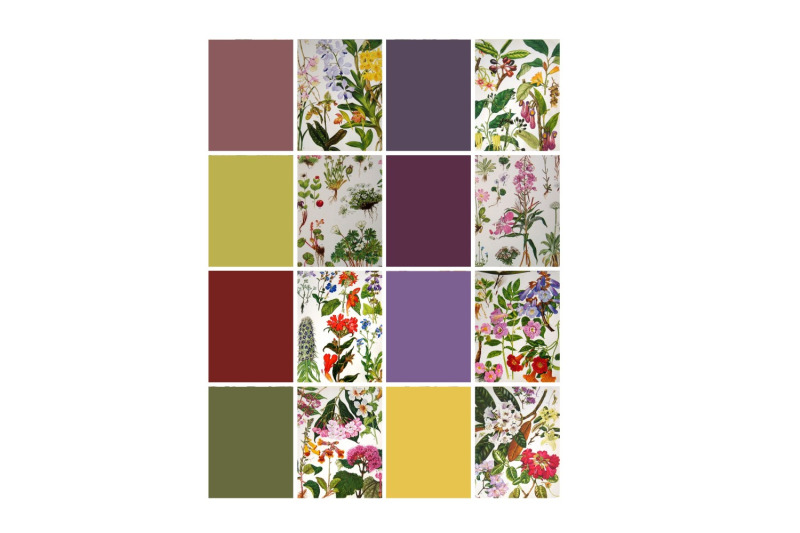 vintage-botanical-full-page-floral-sheets-2