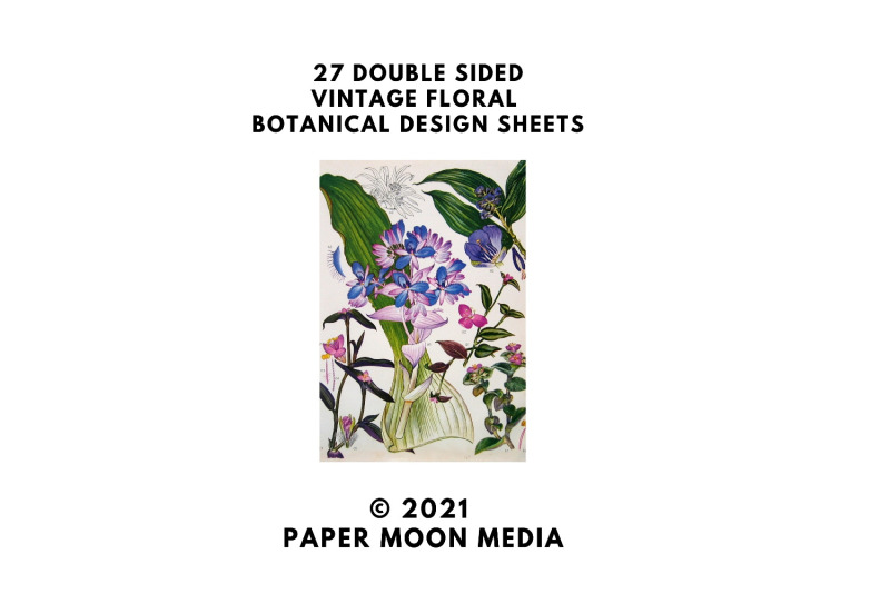 vintage-botanical-full-page-floral-sheets-2