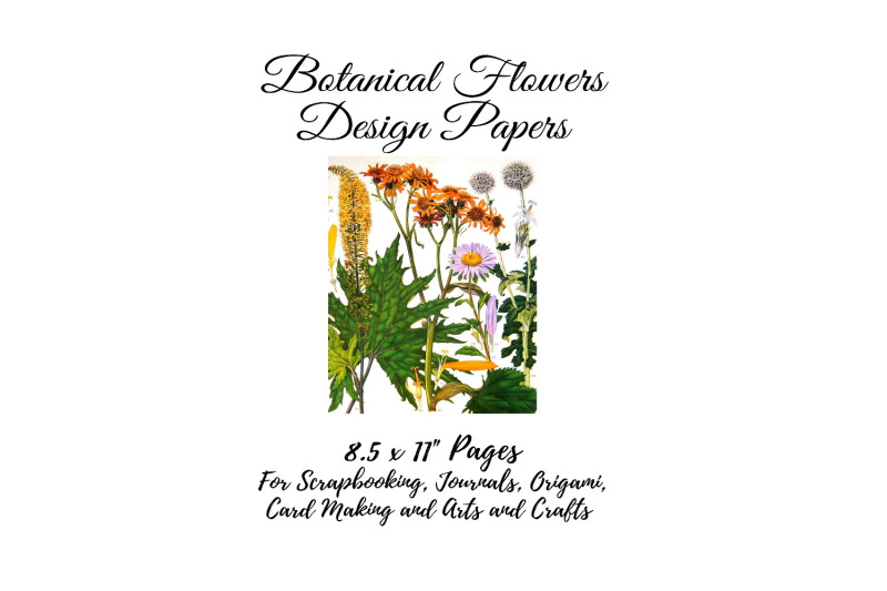 vintage-botanical-full-page-floral-sheets-2
