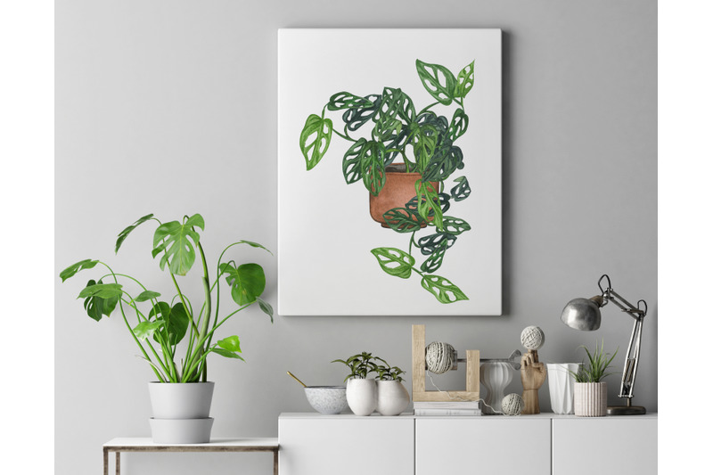 house-plants-watercolor-collection