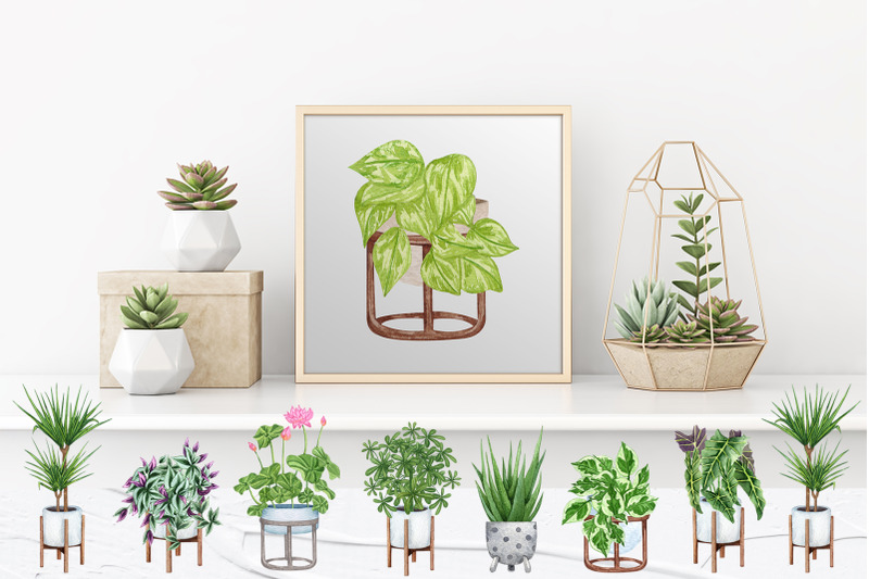 house-plants-watercolor-collection