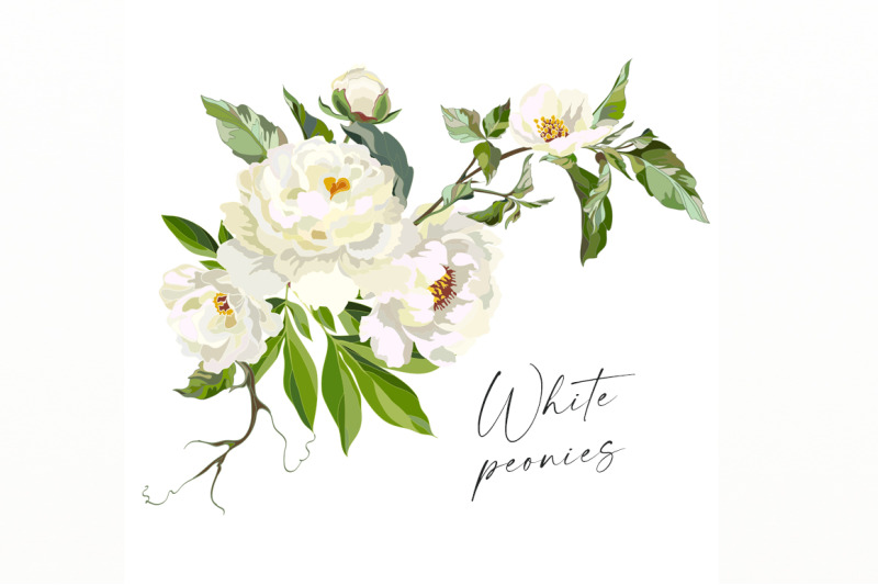 white-peonies