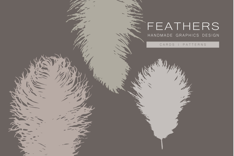 feathers-graphics-design