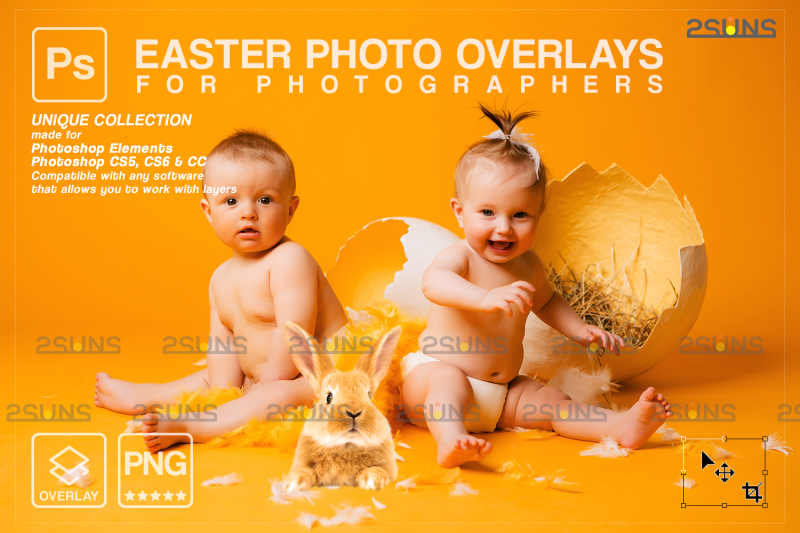 easter-overlays-baby-chicks-overlay-clipart-png