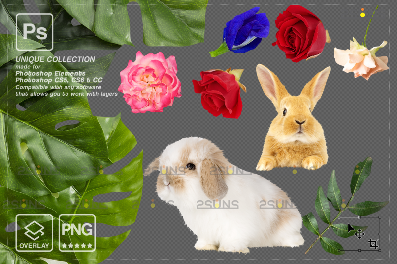 easter-overlays-baby-chicks-overlay-clipart-png