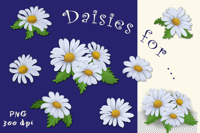 white-daisies