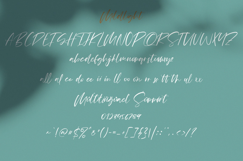 mildlight-feminine-signature-font