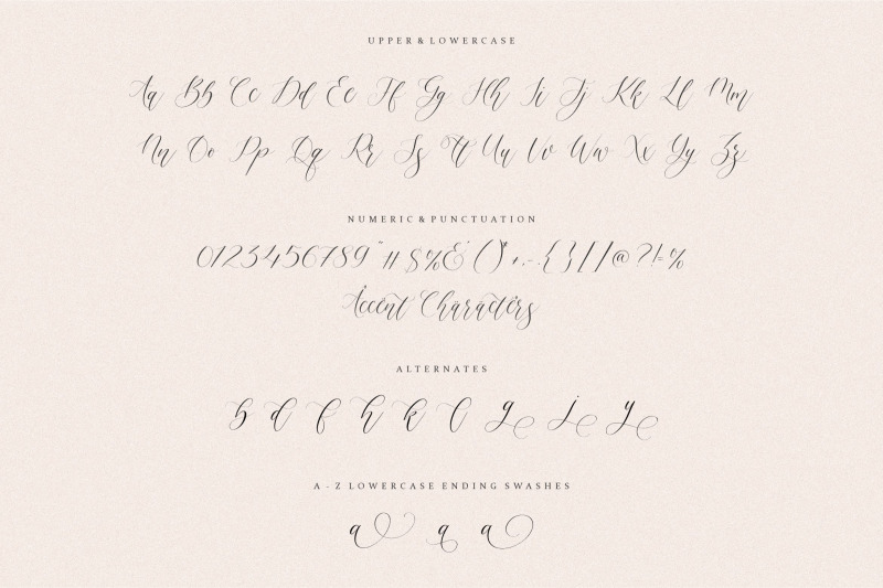 felmora-modern-stylist-calligraphy-font
