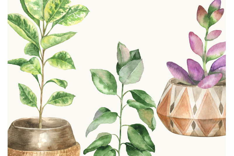 watercolor-home-plants-in-pots-boho-home-decor-clip-art-house-plant