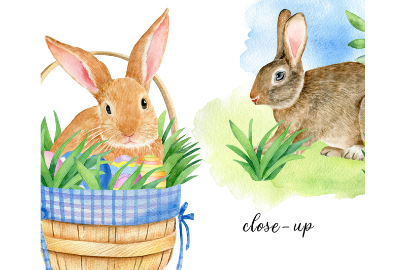 watercolor-easter-rabbits-clipart-set-hand-drawn-spring-clip-art-png