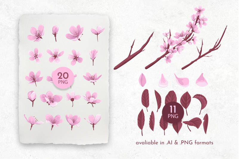 cherry-blossom-vector-collection