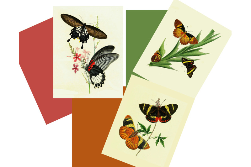 vintage-botanical-butterflies-full-page-sheets