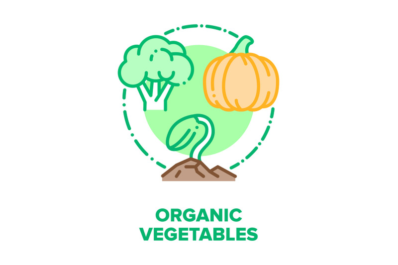 organic-vegetables-bio-food-vector-concept-color