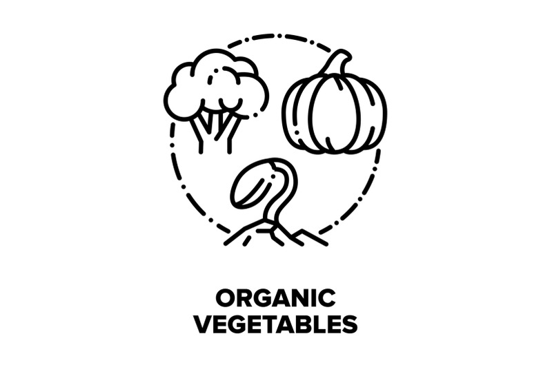 organic-vegetables-bio-food-vector-concept-black-illustrations