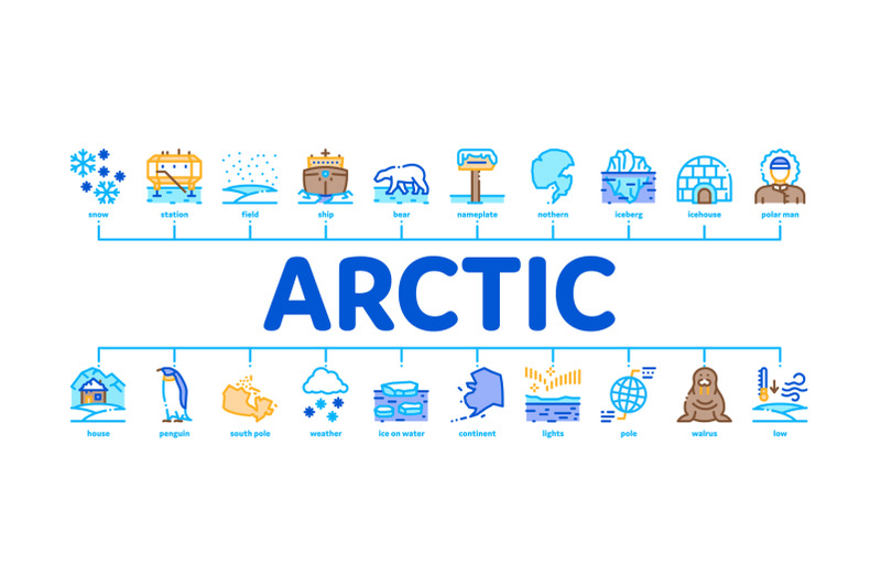 arctic-and-antarctic-minimal-infographic-banner-vector