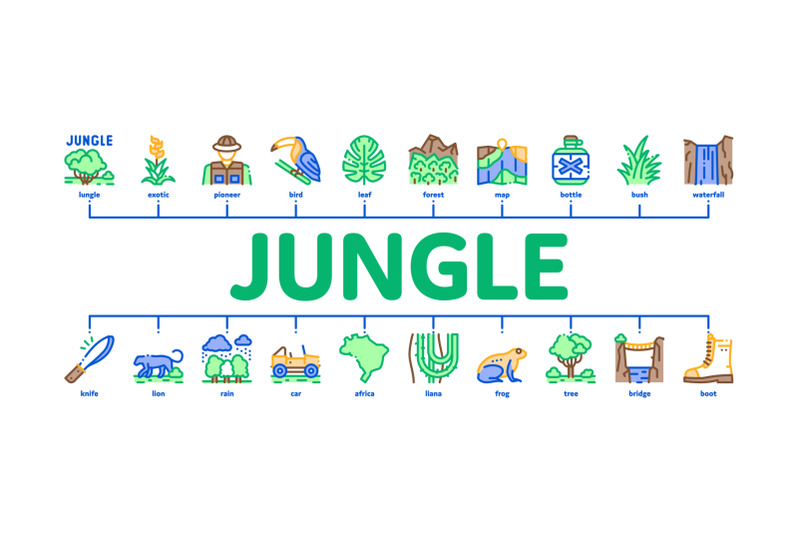 jungle-tropical-forest-minimal-infographic-banner-vector-flat