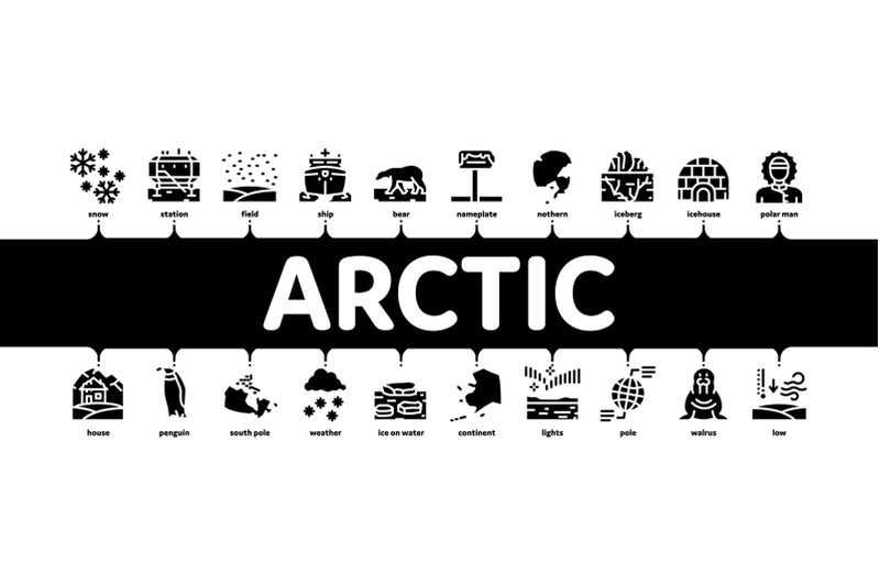 arctic-and-antarctic-minimal-infographic-banner-vector