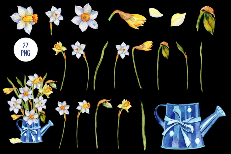 daffodils-watercolor-blue-flowers-clipart