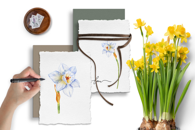 daffodils-watercolor-blue-flowers-clipart