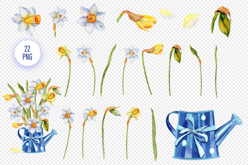 daffodils-watercolor-blue-flowers-clipart