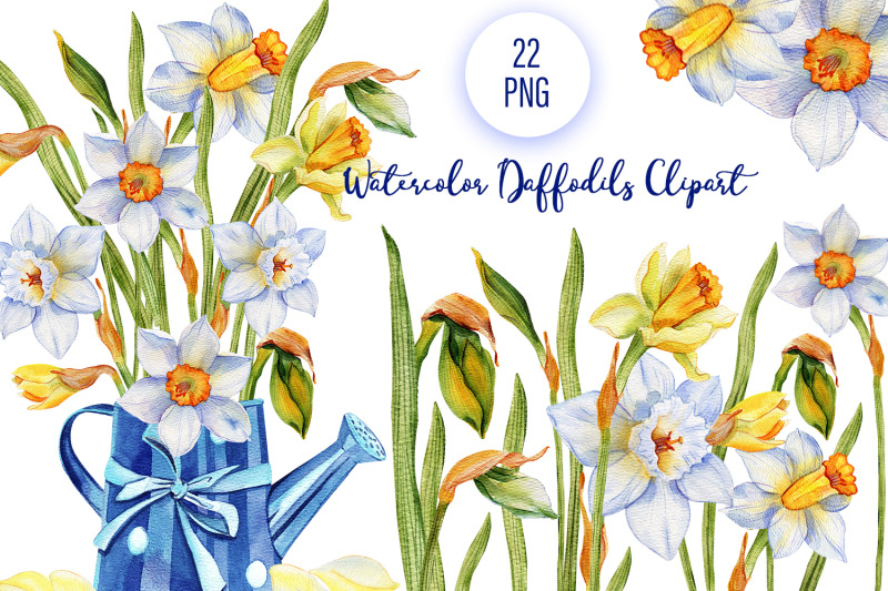 daffodils-watercolor-blue-flowers-clipart