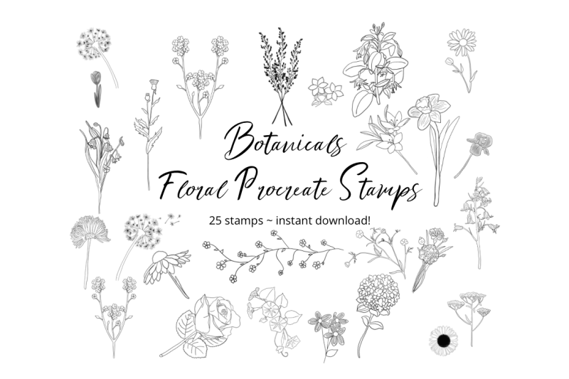 procreate-floral-botanical-stamps-x-25