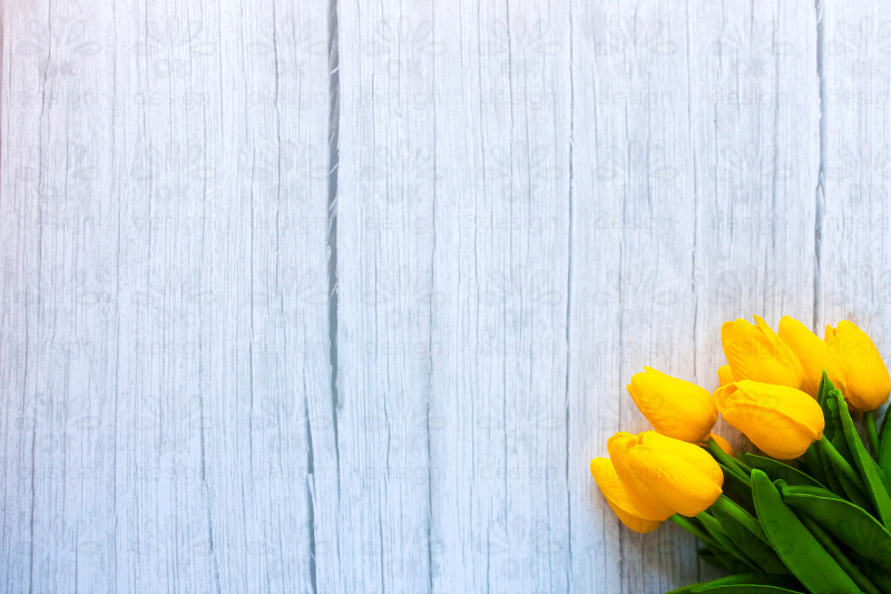 yellow-tulips-on-a-wooden-background-set-of-2-photos