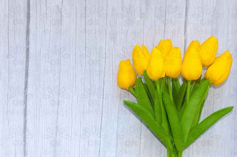 yellow-tulips-on-a-wooden-background-set-of-2-photos