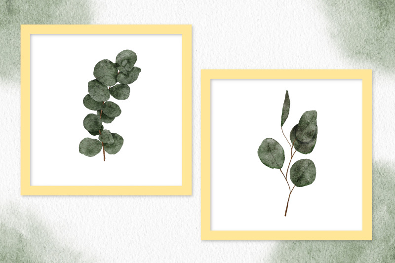 8-watercolor-eucalyptus-leaf-illustration-set