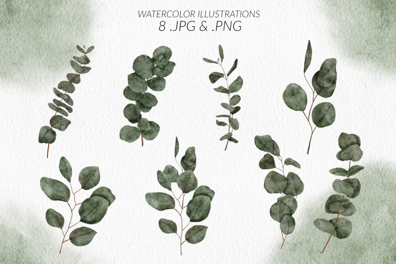 8-watercolor-eucalyptus-leaf-illustration-set
