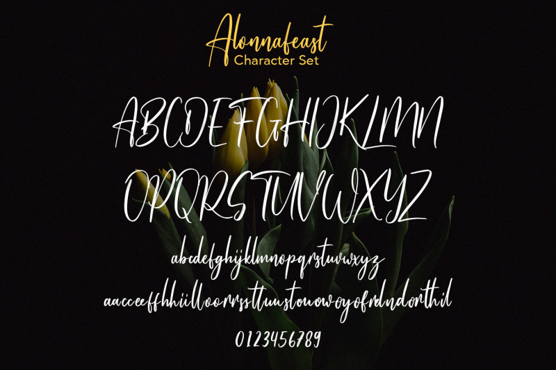 alonnafeast-brush-script-font