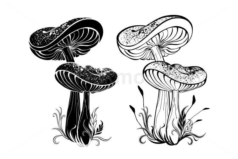 two-silhouette-mushrooms