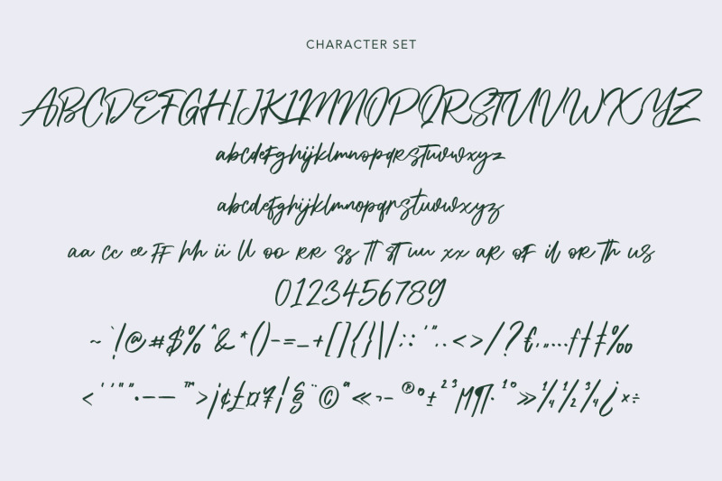 alphasoil-signature-font