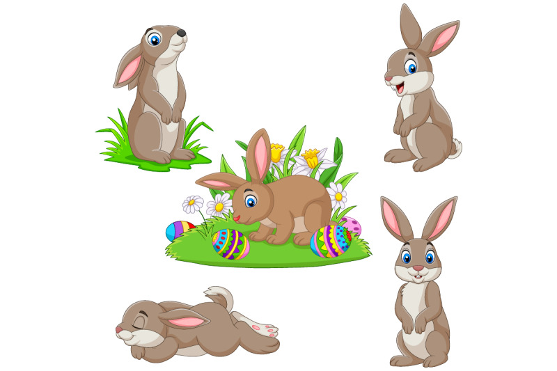 set-of-five-easter-bunny-collection