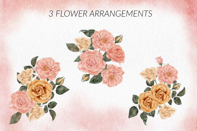 18-watercolor-rose-flower-illustration-set