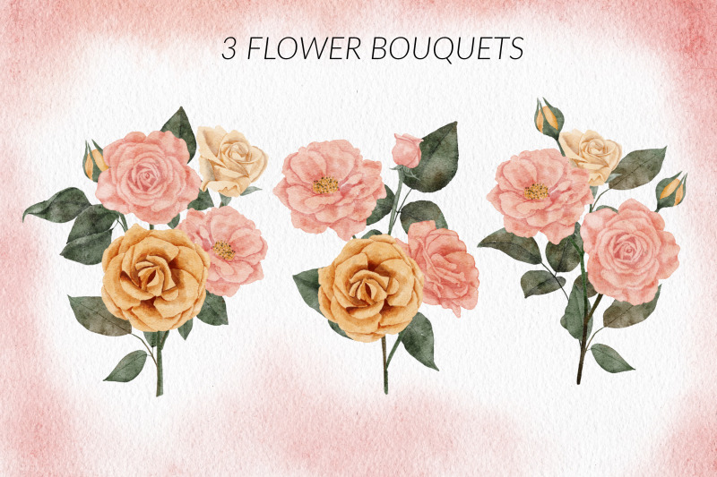 18-watercolor-rose-flower-illustration-set