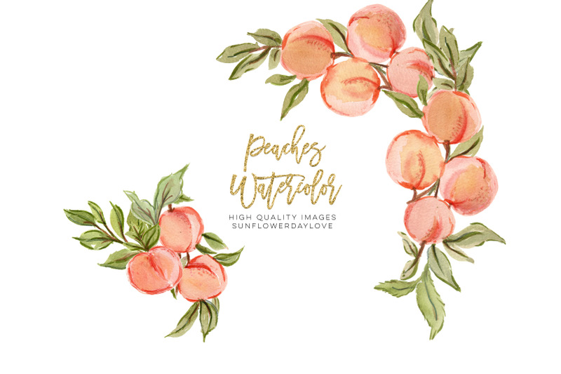 greenery-summer-peaches-peaches-arrangements-watercolor-clipart