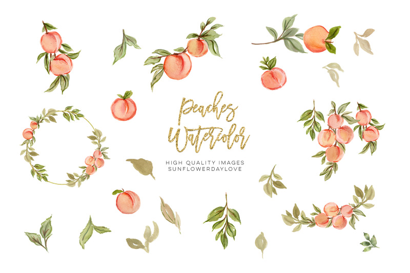 peaches-watercolor-elements-clipart-peach-fruit-clipart-peach-leaves