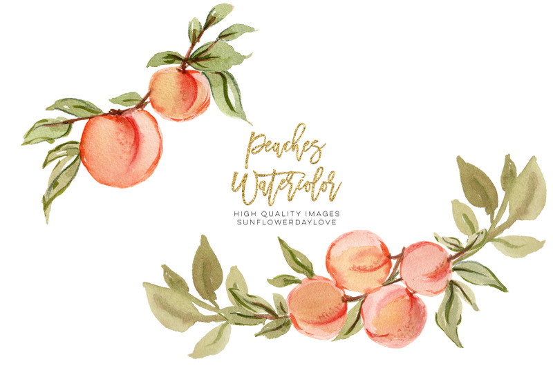 peaches-watercolor-elements-clipart-peach-fruit-clipart-peach-leaves