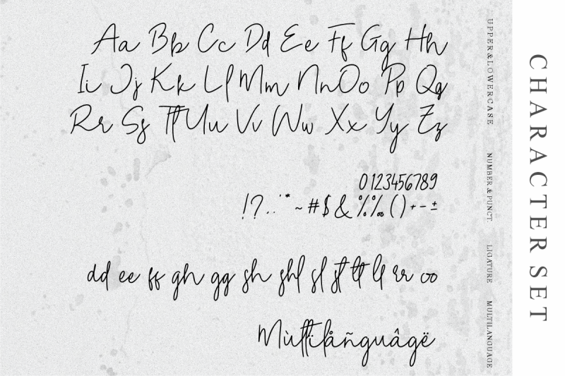 wishloved-handwritten-script