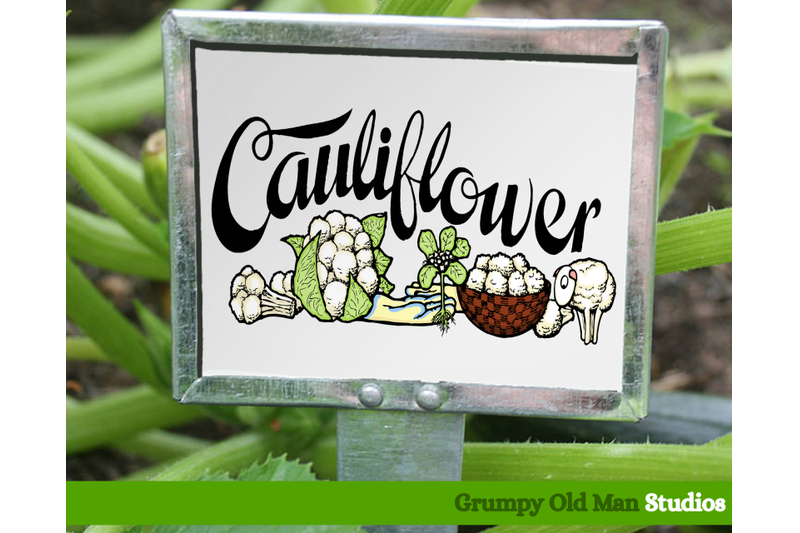 cauliflower-vegetables-garden-labels