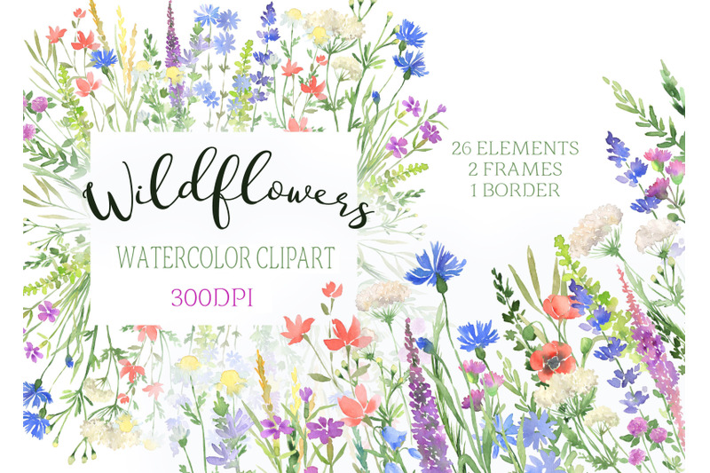 watercolor-wildflowers-clipart-botanical-floral-files-flowers-clip-art