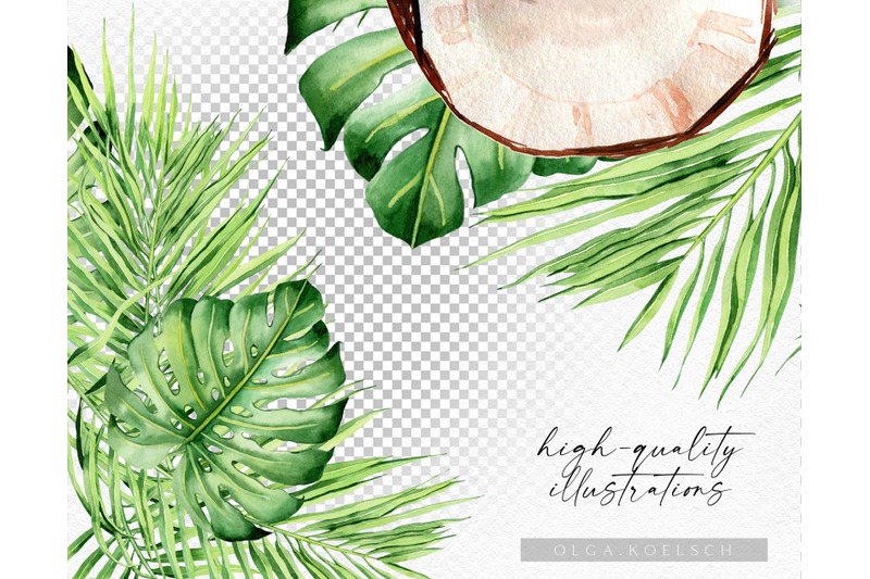 watercolor-coconut-clipart-jungle-leaves-frames-coconut-borders-png