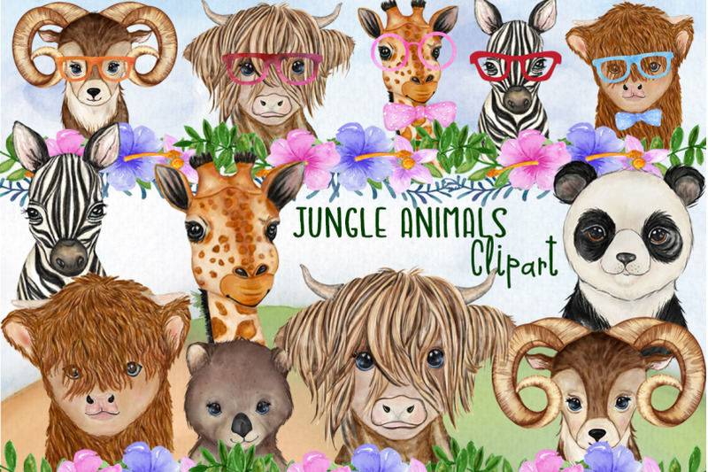 jungle-animals-safari-animals-funny-animals-wild-animals
